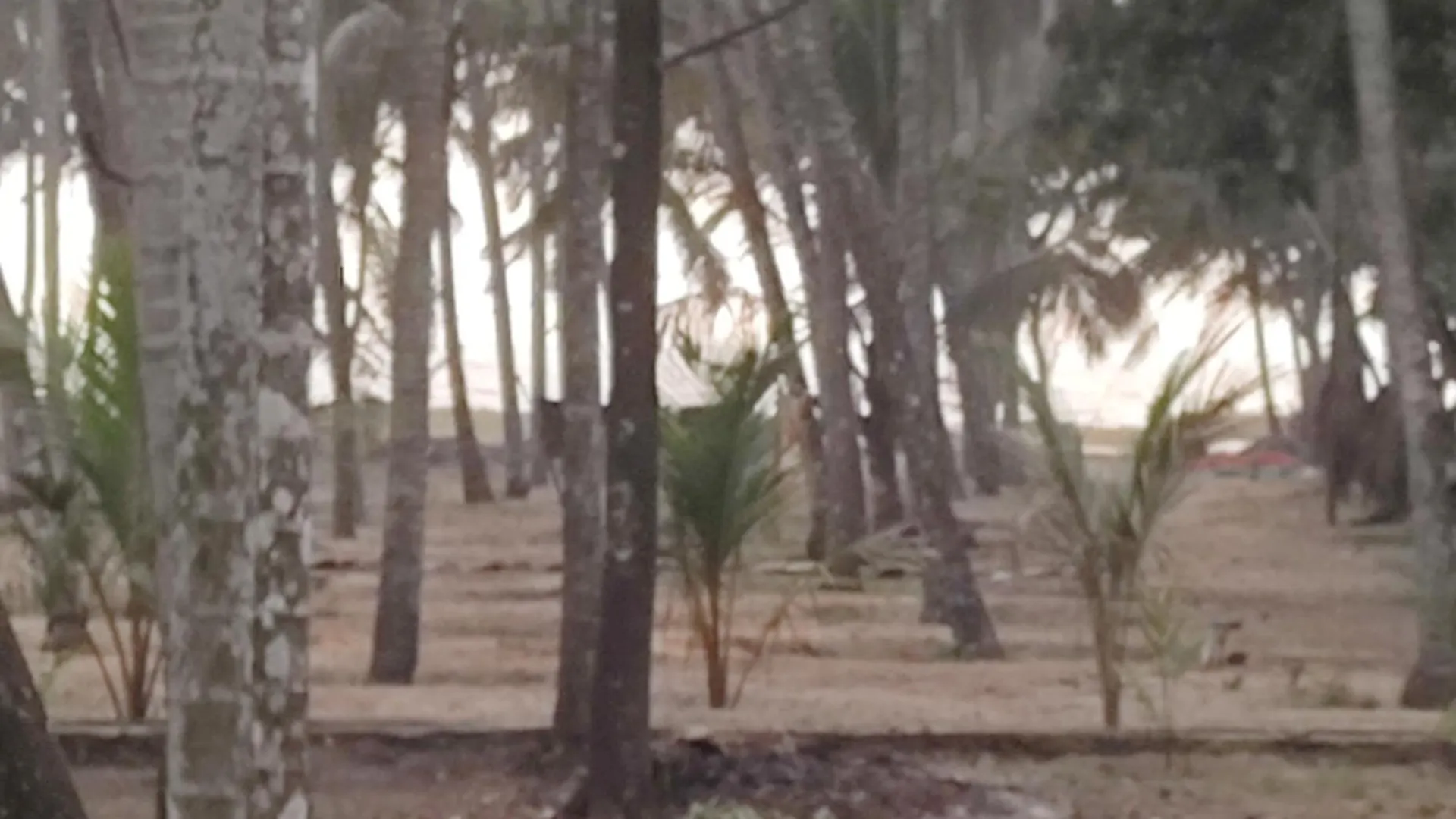 Katadi Beach Homestay Thrissur
