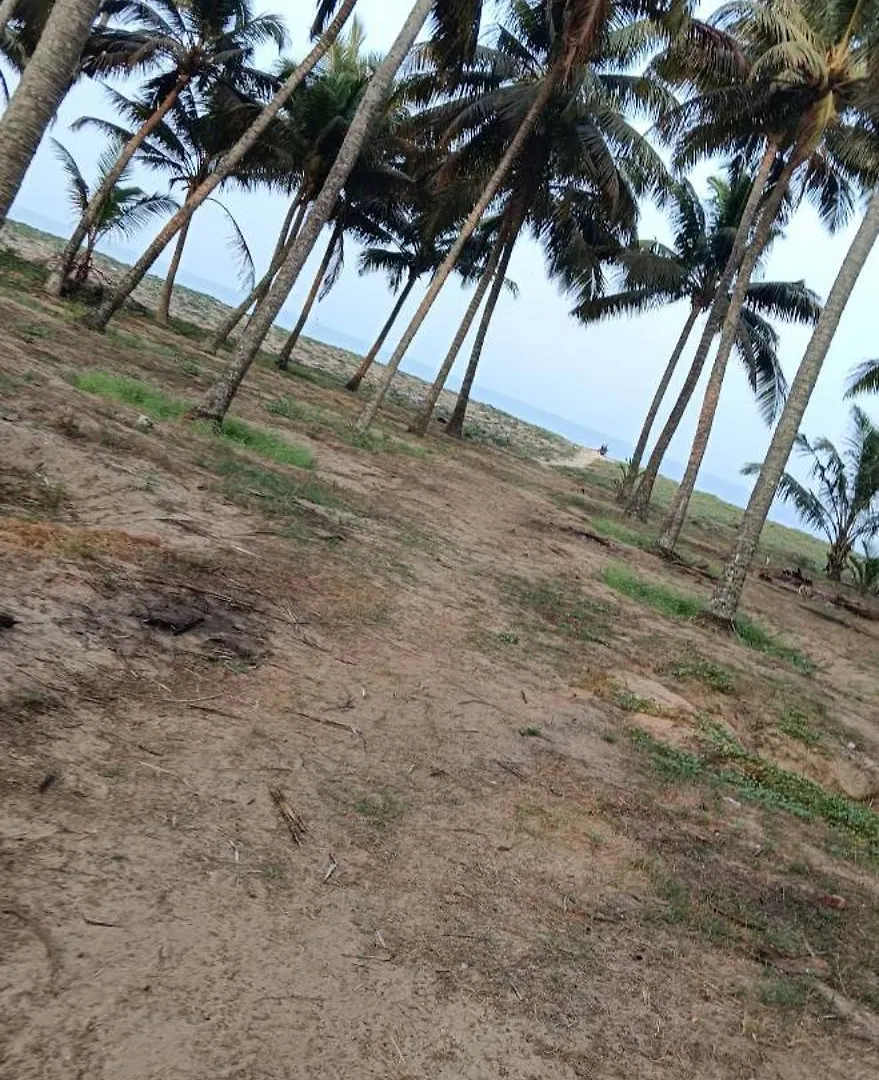 Katadi Beach Homestay Thrissur