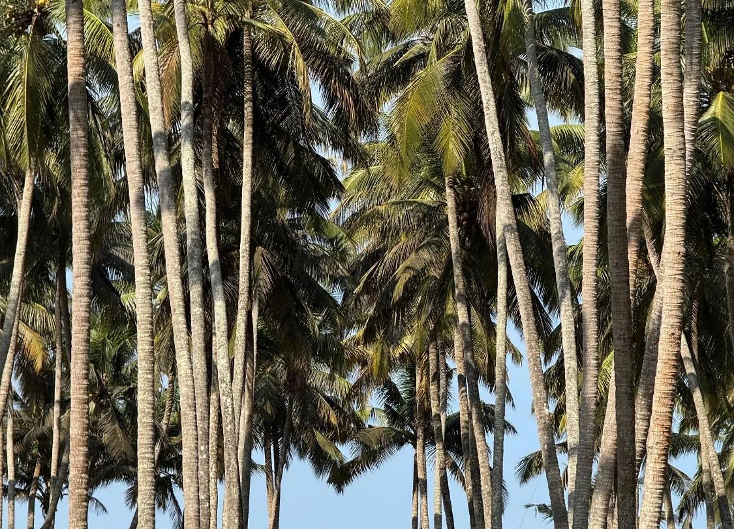 Katadi Beach Homestay Thrissur
